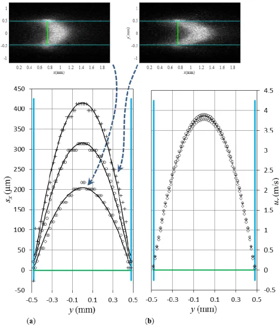 Fig. 6: MTV data of helium flow with  L y  960 32 µm  ,  p in  102.8kPa ,  p out  101.8kPa ,  294K