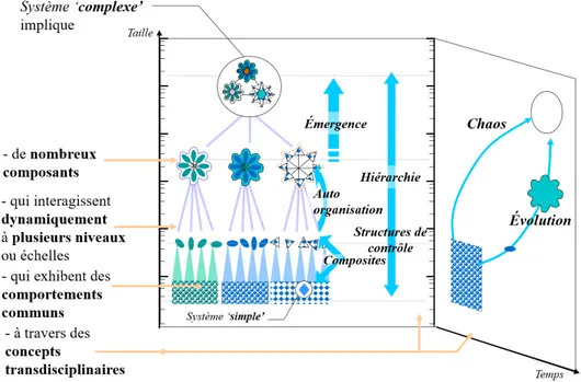 Figure 1 – Les caractéristiques des systèmes complexes – Figure adaptée de (Clemens 1998) de recherche pour combler le handicap.