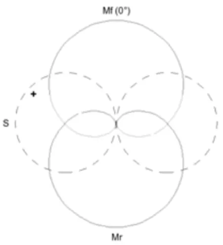 Figure 5 Diagramme polaire d'un enregistrement  double M/S, destiné à une conversion en format B 