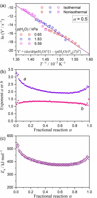 Figure 7. Results of the modified Friedman plots with the accommodation function of eqn (16) as applied to the  mass-loss process of the thermal decomposition of Ca(OH) 2  under isothermal and linear nonisothermal conditions  at different p(H 2 O) values: 