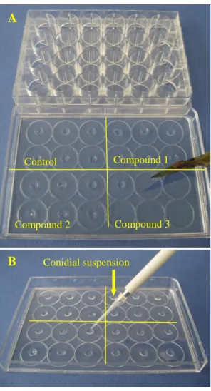 Fig. 6. Experimental design of in vitro tests of Monilinia laxa  conidial germination