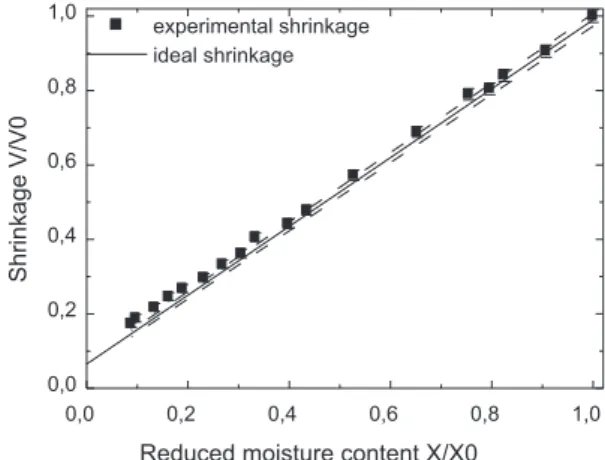 Fig. 4 – Experimental and calculated porosity of carrot as a function of the water content: convective drying (Krokida and Maroulis, 1997).