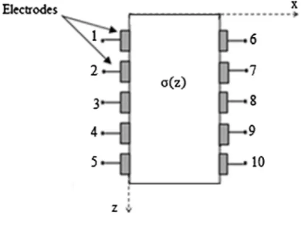 Figure 1 Electrodes Model.
