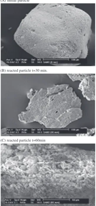 Fig. 2. SEM observations of the solid residue at different reaction times (R p = 153.75 A m, T = 220 j C and initial OH $ molality = 12.5 mol kg $ 1 ).