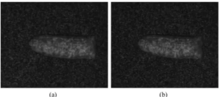 FIG. 3. Pair of images taken at the same time by the stereovision rig used in our experiment: (a) right camera; (b) left camera.