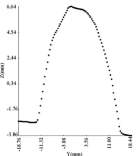 FIG. 7. Vertical section of banana at the beginning of drying.