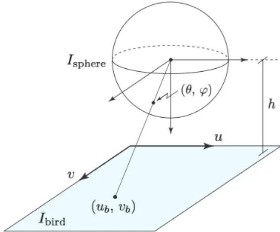 Fig. 4: Generation of the bird’s-eye image I bird from the image on the unit sphere I sphere .