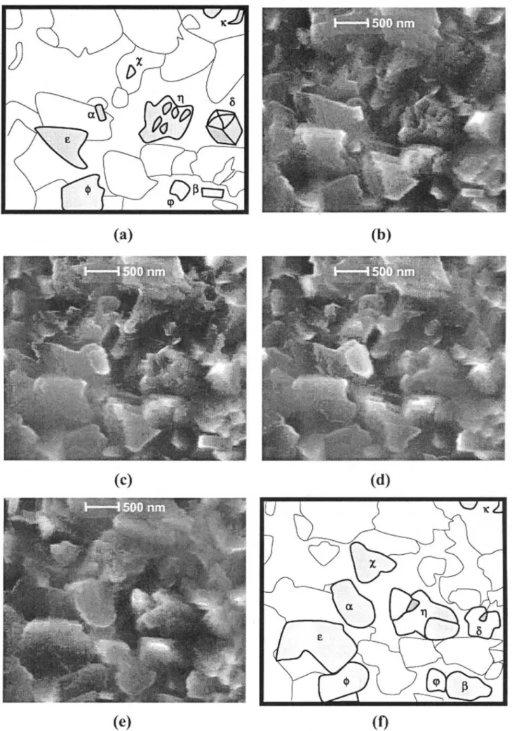 Figure 7 In situ FEG-ESEM images showing oxides growth in 50 Pa partial pressure of water vapour at 700°C