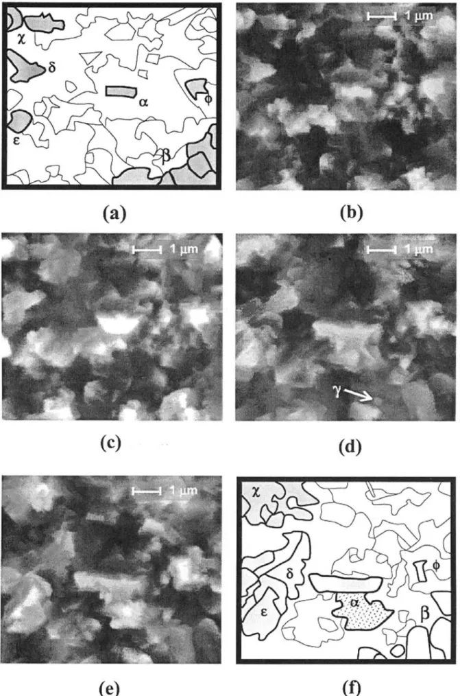 Figure 8 In situ FEG-ESEM images showing oxides growth under 100 Pa partial pressure of water vapour at 700°C after previous exposure for 2 hours in 50 Pa H 2 O