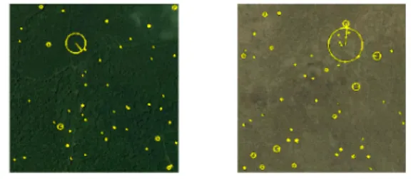 Figure 3: Two examples where few SIFT descriptors are detected.