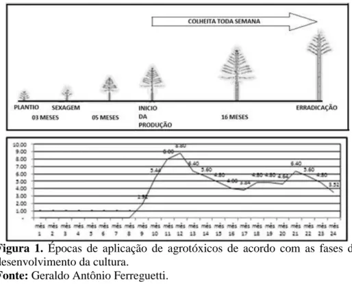 Figura  1.  Épocas  de  aplicação  de  agrotóxicos  de  acordo  com  as  fases  de  desenvolvimento da cultura