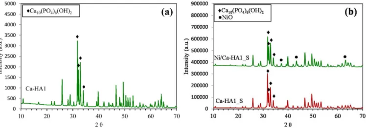 Fig. 3. SEM images of (a) Ca-HA1 support and (b) Ni/Ca-HA1_S catalyst; → Ni particle.