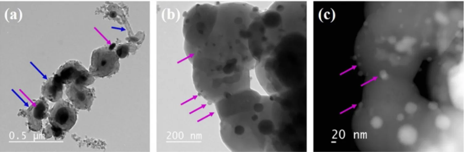 Fig. 7. TEM of Ni/Ca-HA1_S spent catalyst after three cycles of DRM/Air regeneration; → Ni particle, → carbon.