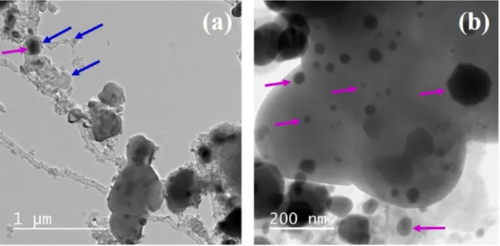 Fig. 9. TEM of Ni/Ca-HA1_S spent catalyst after three cycles of DRM/CO 2 regeneration; → Ni particle, → carbon.