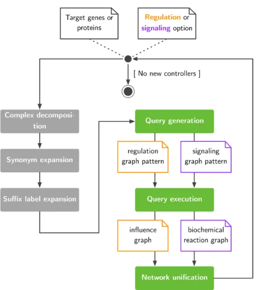 Figure 1. Exploration of large pathway databases to assemble gene regulatory and signaling networks.