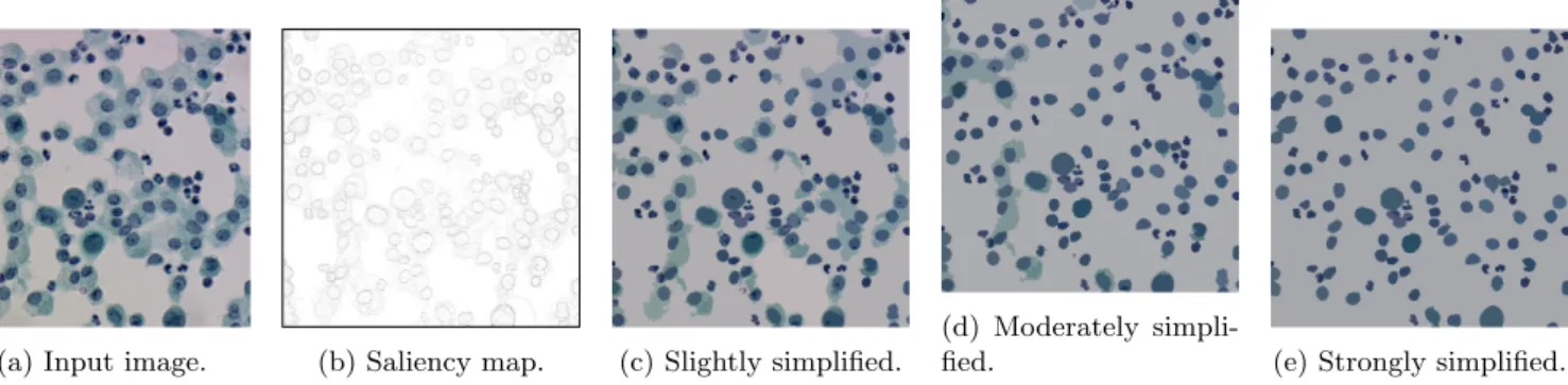 Figure 9: Illustration of the proposed hierarchical pre-segmentations on a cellular image.