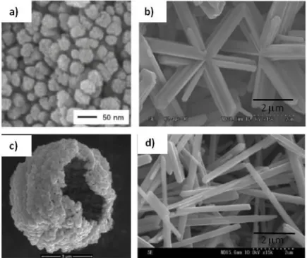 Figure 4. SEM images of various VO 2 (M) morphologies prepared  by hydrothermal synthesis starting from V 2 O 5 