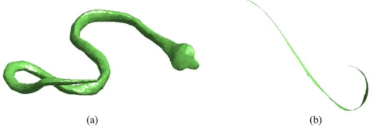 Figure 10: A snake model (a) after preprocessing and its canonical form (b).