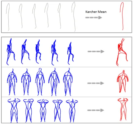 Figure 5: Example of Karcher Mean computation. (top) Mean curve for six extremal human curves: curve connecting hand and foot from the same side.