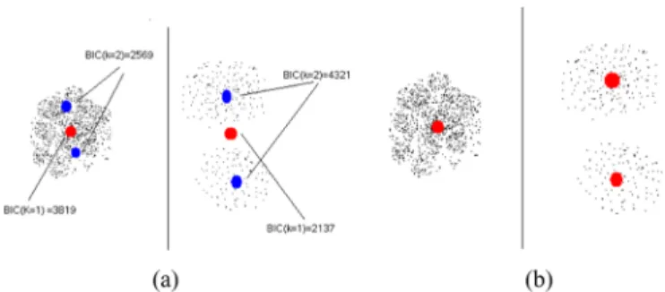 Fig. 3. Selecting the representations (with one or two characteristic views) that have the higher BIC score.
