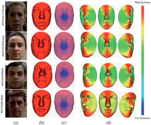 Figure 2: Illustrations of the symmetry DSFs on faces. (a) 2D intensity image; (b) preprocessed 3D face S; (c) 3D face S with extracted curves; (d) color-map of symmetry DSF mapped on S with three poses