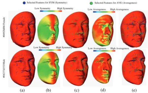Figure 5: Feature selection. (a) selected points of symmetry DSF in the face;