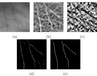 Fig. 4: Steerable Filter, Non-maximum suppression and Hysteresis Threshold- Threshold-ing (a) The original palmprint ROI (b) The 2nd Order Response Image or the Gradient Norm Image (c) Gradient Orientation Image (d) The Ridges  Detec-tion by Non-maximum su