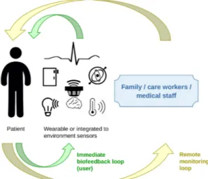 Fig. 2. General description of IoT or smart environments for health. 