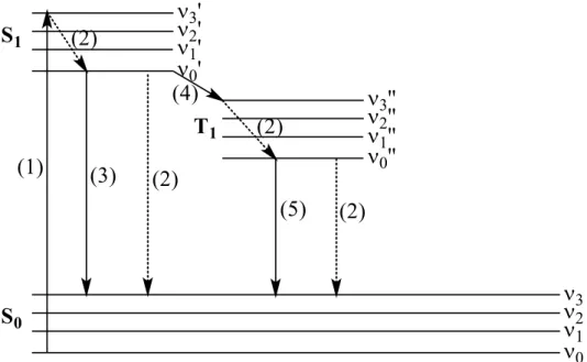 Figure 1.3. Diagramme de Jablonski pour les différentes transitions radiatives et non- non-radiatives : (1) l’absorption, (2) la désactivation non-radiative, (3) la fluorescence, (4)  la conversion intersystèmes et (5) la phosphorescence