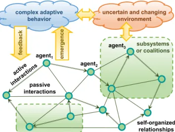 Fig.  3.  The  emergence  of  a  complex  adaptive  behavior  via  interactions of the agents with their environment