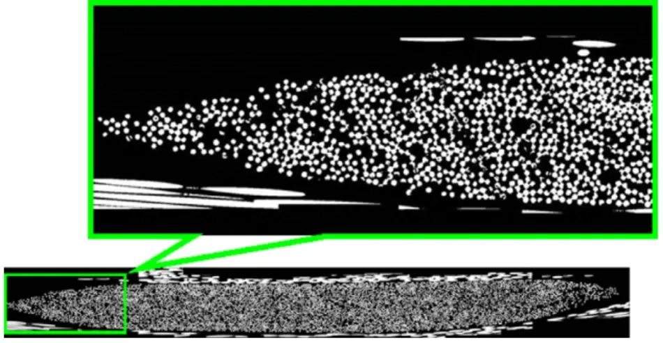 Fig. 13. Microscopic transversal cross-section of a warp yarn.