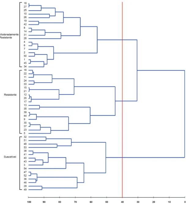 Figura 1. Agrupamento de 54 genótipos de Coffea canephora separados em três grupos (Resistente, Moderadamente Resistente ou Suscetível à  H