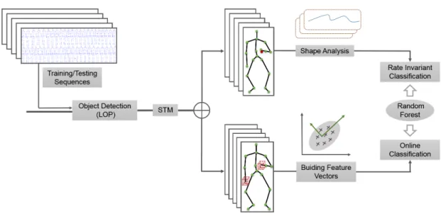 Figure 1: Overview of our method. Four main steps are shown: low-feature extraction from each frame; Buiding feature vector by spatio-temporal modeling; Shape analysis of feature vector for rate invariant classification; For Online classification, Random F