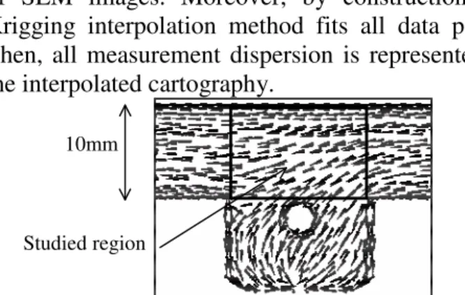 Fig. 2. Fibre orientation at core in pawn region for D4