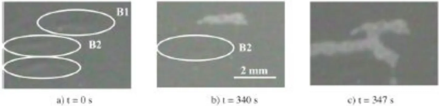 Fig. 6. Buckle formation and spallation monitored by high resolution camera. 