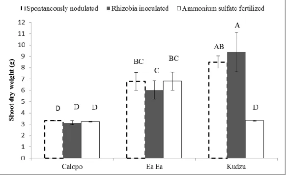 Figure  1.  Effect  of  indigenous  soil  rhizobia,  fertilization  and  rhizobia  inoculation  on  shoot  dry  weight of  Calopo, Ea Ea and Kudzu  plants
