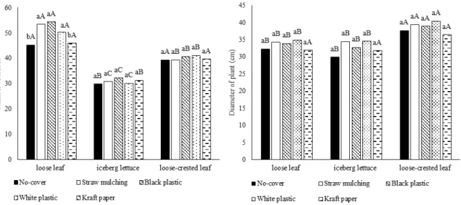 Figure 2 - Number of leaves (a) and diameter (b) of three lettuce cultivars grown under different soil  cover forms