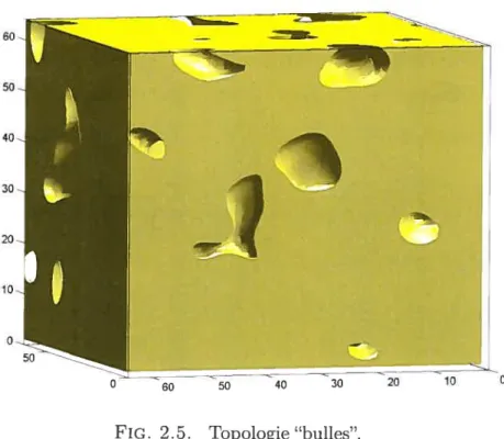 FIG. 2.5. Topologie “bulles”.