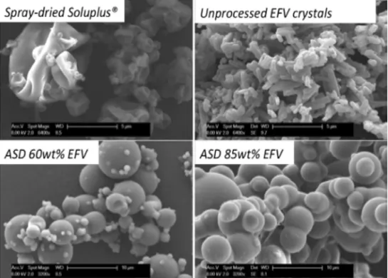 Fig. 4 SEM images of spray-dried ASD constituted by a EFV-SOL binary mixture. 