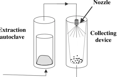 Figure 2 – The RESS process 