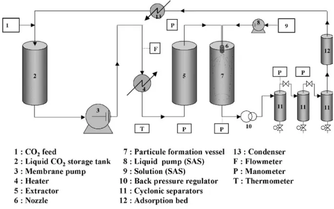 Figure 1 – Experimental set-up for the polymer grafting experiments under supercritical carbon dioxide