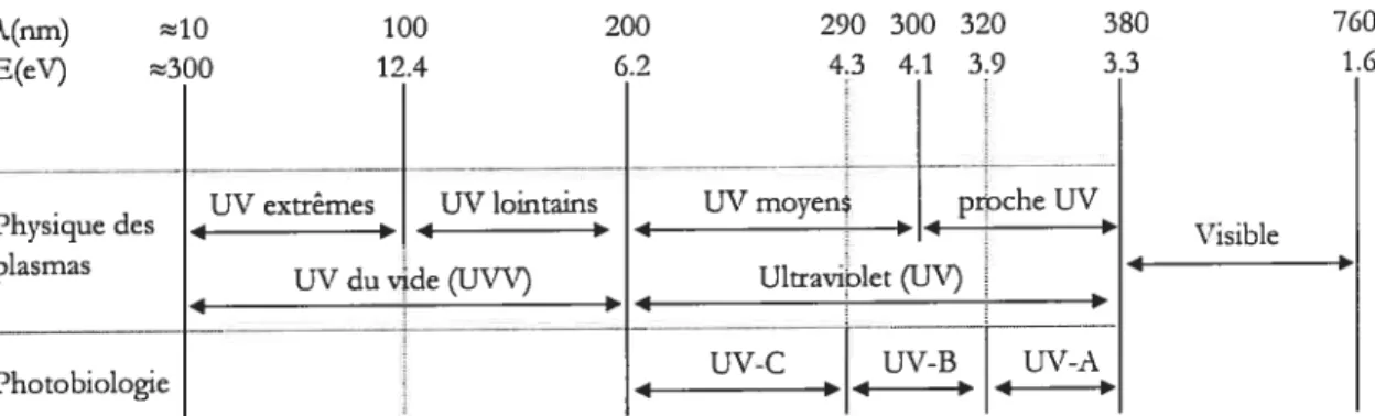 Figure 1.3: spectre ultraviolet vu par les physiciens et les photobiologistes. Les physiciens distinguent
