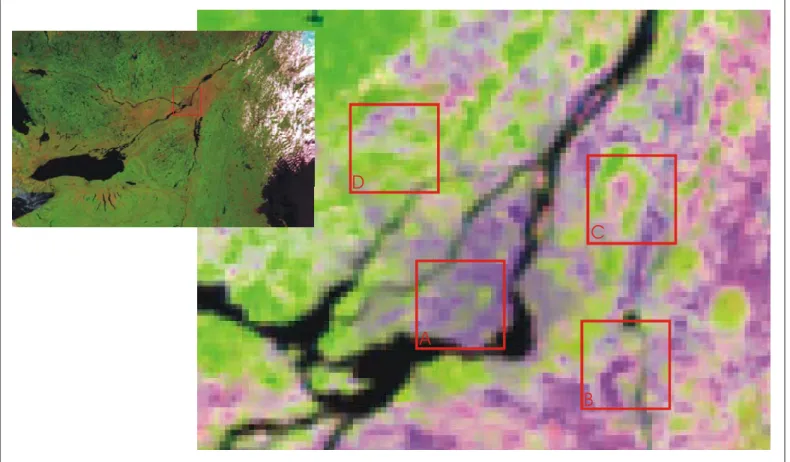 Figure 4.2 – SPOT 4 VGT imagery. Upper left inset presents the areal extent that can be sensed by the VGT sensor (about 2200 km)