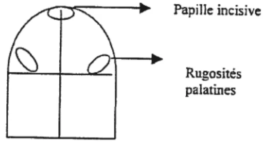 figure 9: Schéma illustrant la division du palais