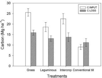 Fig. 5. C Balance between annual input (cover crop + organic compost) and annual losses (CO 2 C emissions) among different vegetables cropping systems