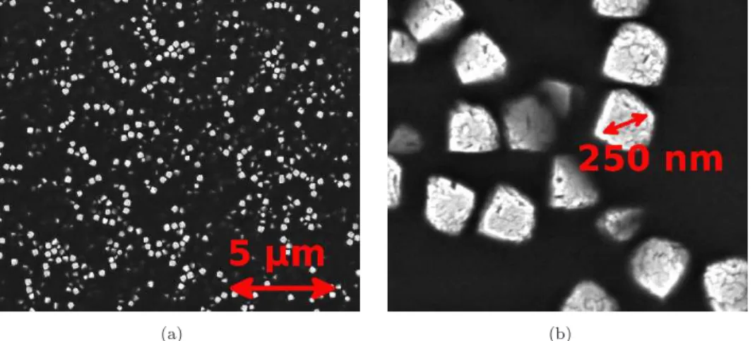 Figure 1. SEM images of the hematite-epoxy coating. White: hematite nanocubes; black: epoxy phase (image: M