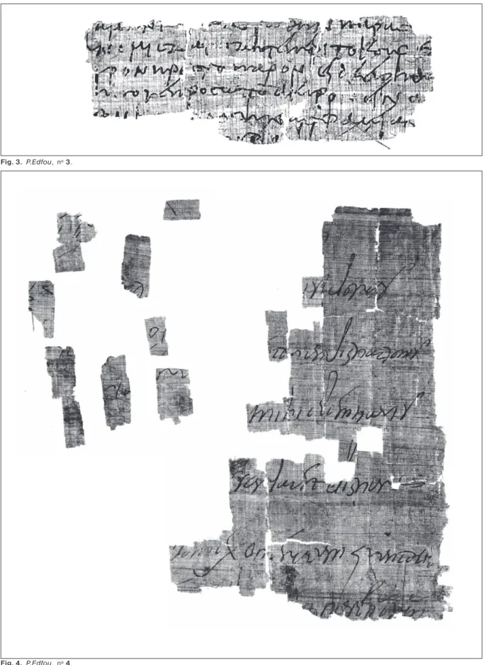 Fig. 4. P.Edfou, nº 4.