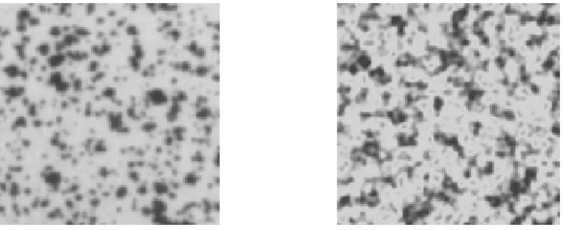 Figure 1. Real pattern obtained by spray-paint (left) and synthetic pattern realized with our coherent noise generator (right).