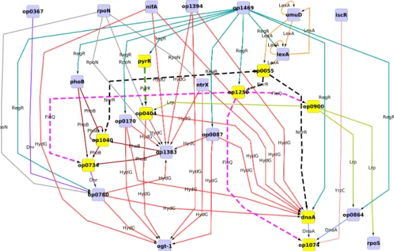 Figure 1. Core regulatory network of A. ferrooxidans. Nodes stand for operons, while colored edges stand for different transcription factors transcribed by the operons