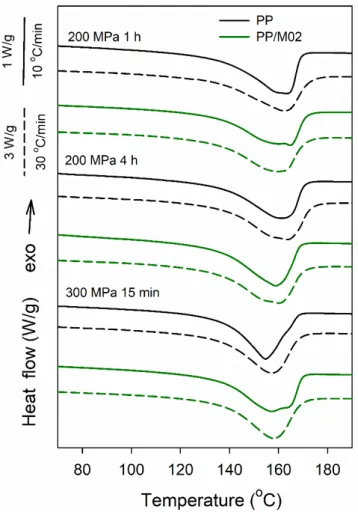 Figure 10. DSC heating thermograms recorded at rates of 10 °C/min (solid lines) and 30 °C/min  (dashed lines) for neat PP and PP/M02 crystallized according to protocol II